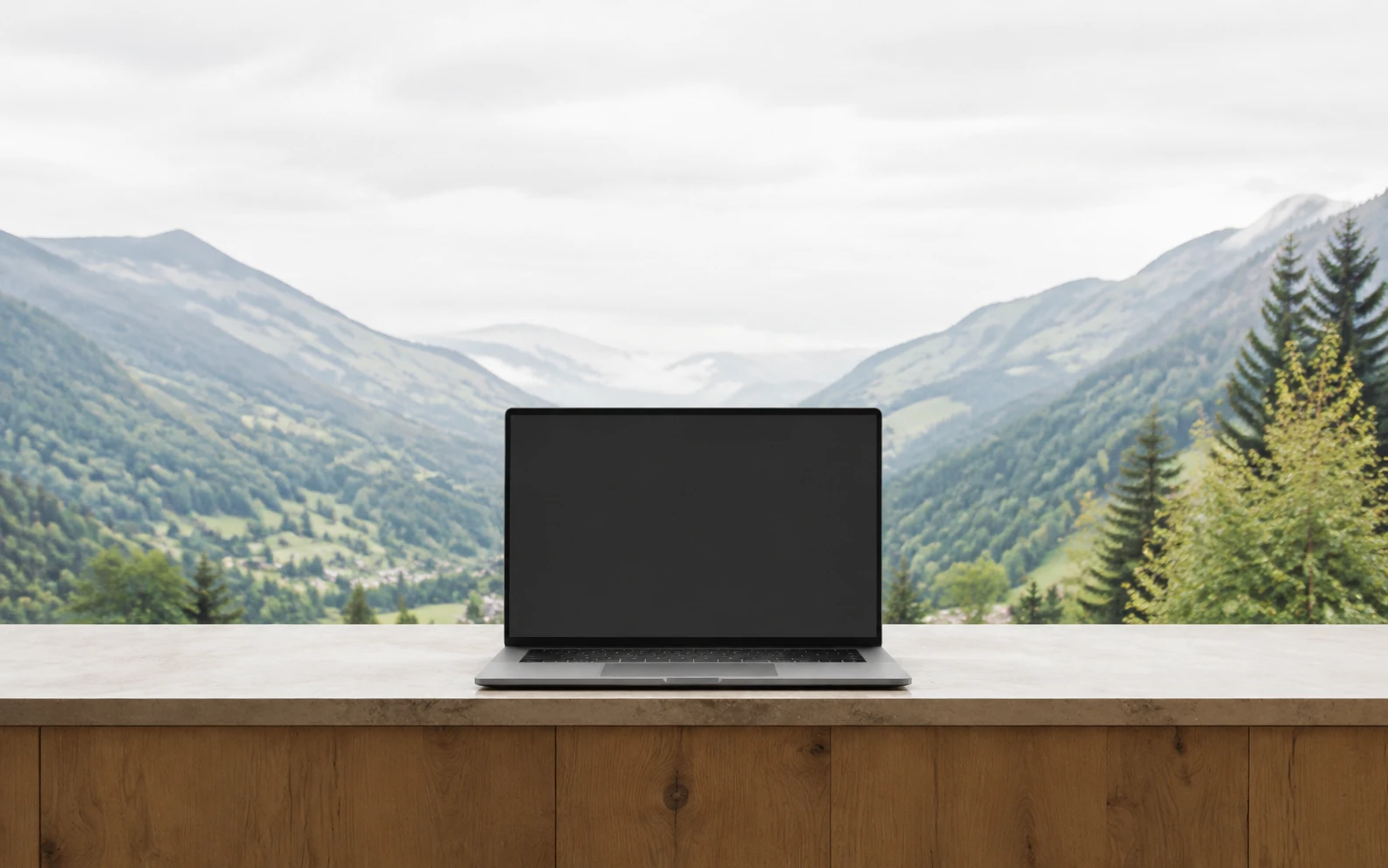 Laptop Rezervatio pe biroul unei recepții, cu vedere spre munți